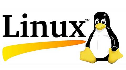 Linux深入拓展企业级市场